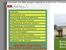 Tablet Screenshot of freezoysiagrassplugs.com